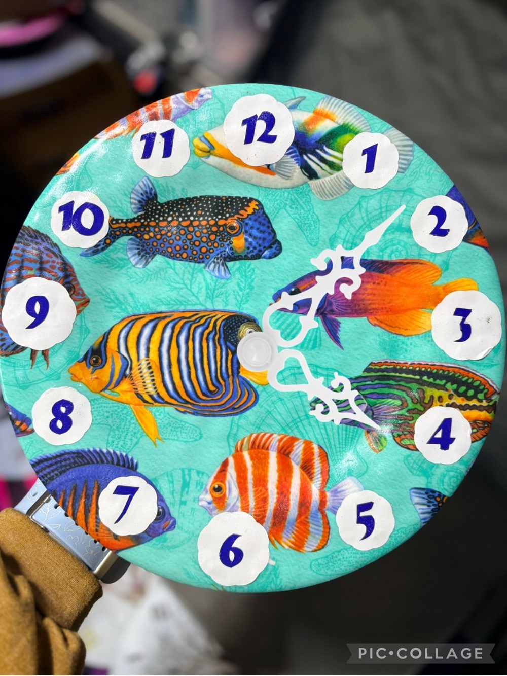 Decorative Tropical Fish Wall Clock - Teal